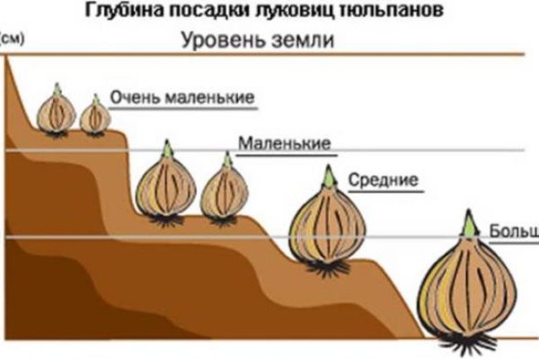 Правила омг омг