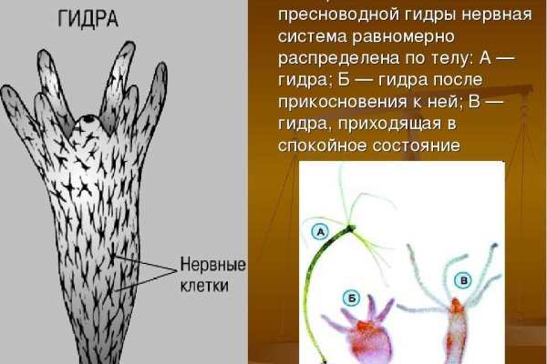 Зеркало омг омг тор ссылка